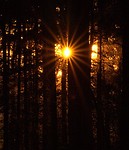 Bild anschauen