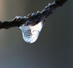 Bild anschauen