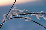 Bild anschauen