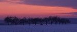 Bild 5 Serie Schnee Januar 2005