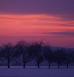 Bild 6 Serie Schnee Januar 2005