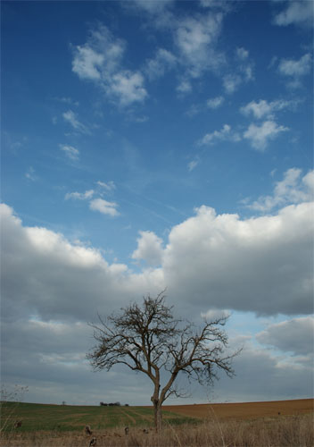 Galeriebild