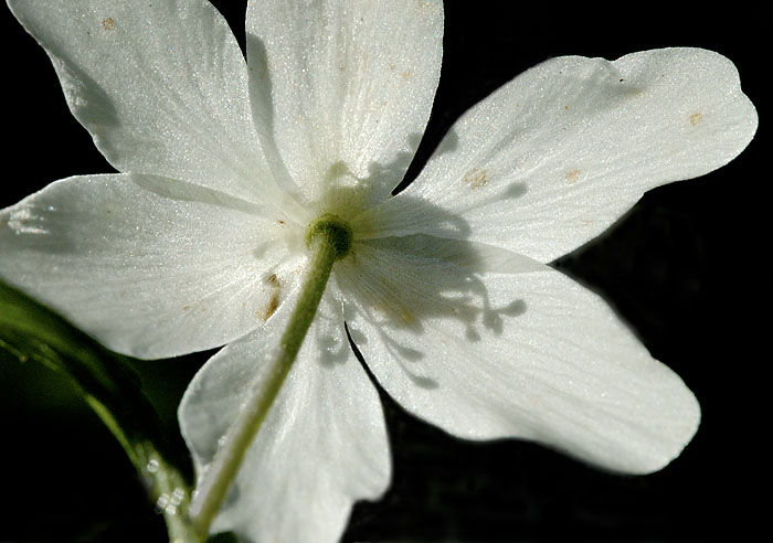 Galeriebild