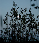 Bild anschauen
