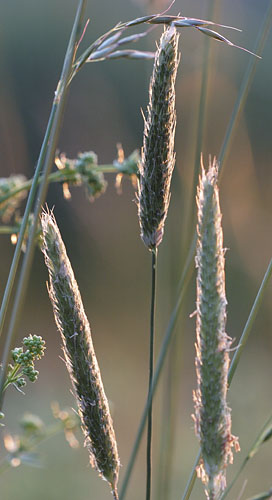 Galeriebild