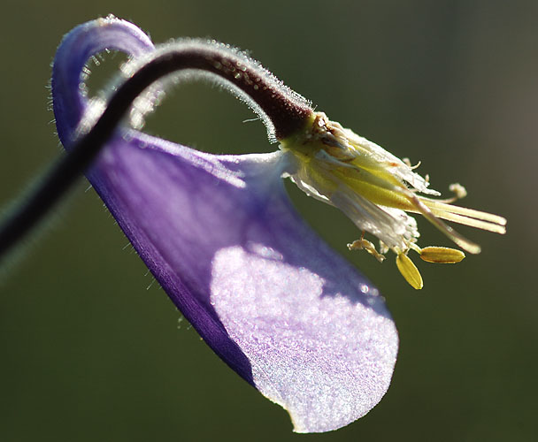 Galeriebild