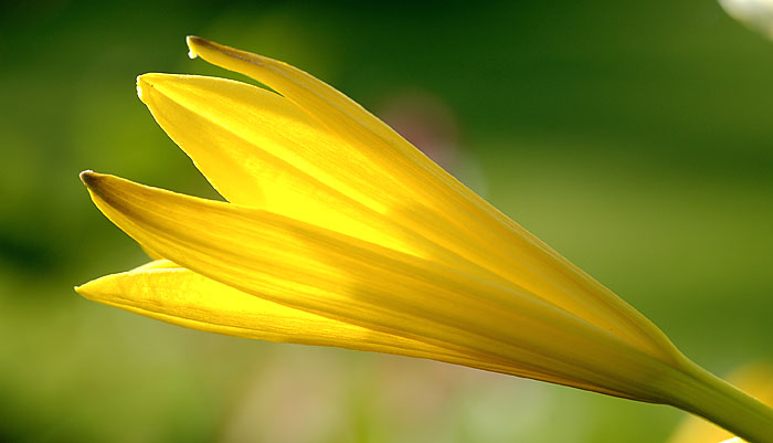 Galeriebild