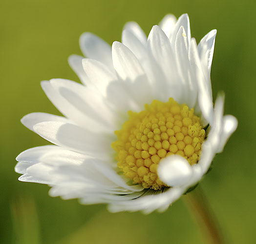 Galeriebild