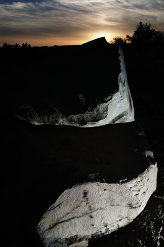 Galeriebild