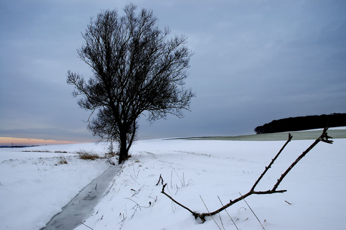 Galeriebild