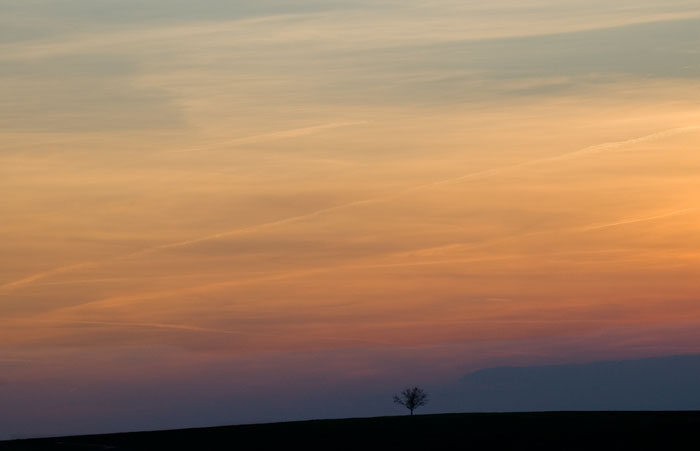 Galeriebild