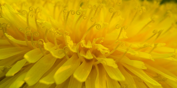 Galeriebild