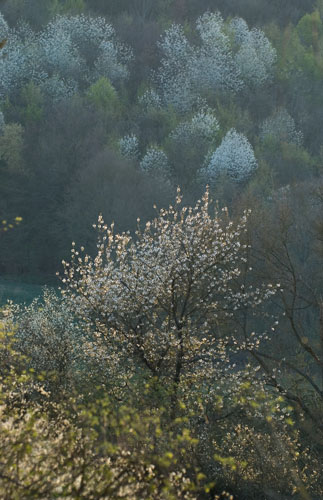 Galeriebild