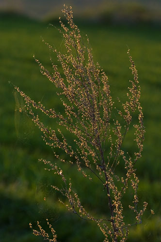 Galeriebild