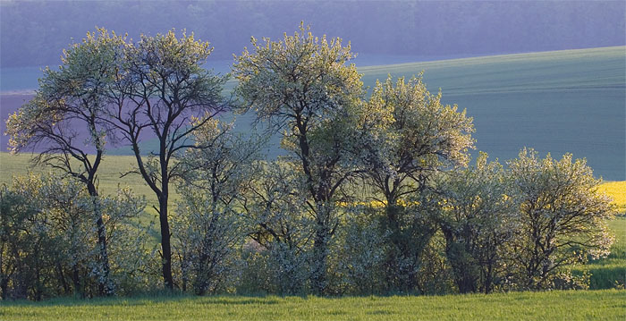 Galeriebild