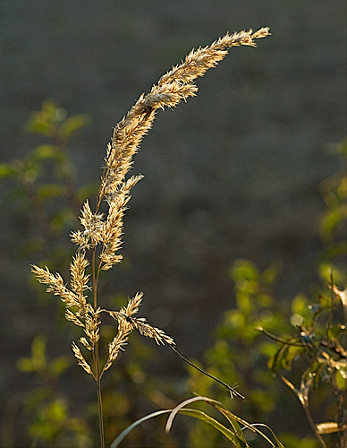 Galeriebild