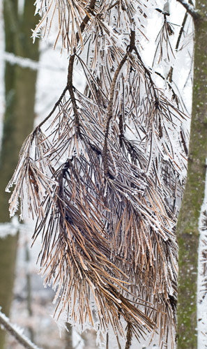 Galeriebild