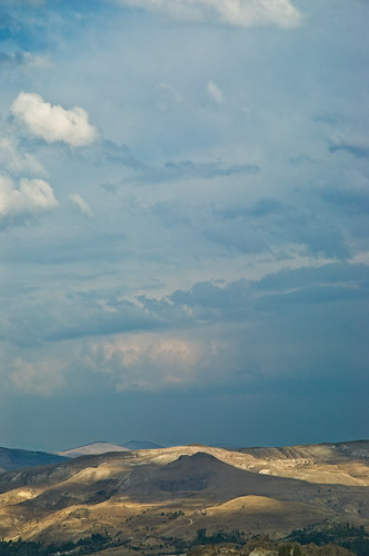 Galeriebild