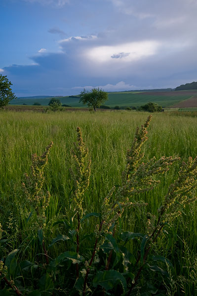Galeriebild