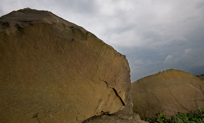 Galeriebild