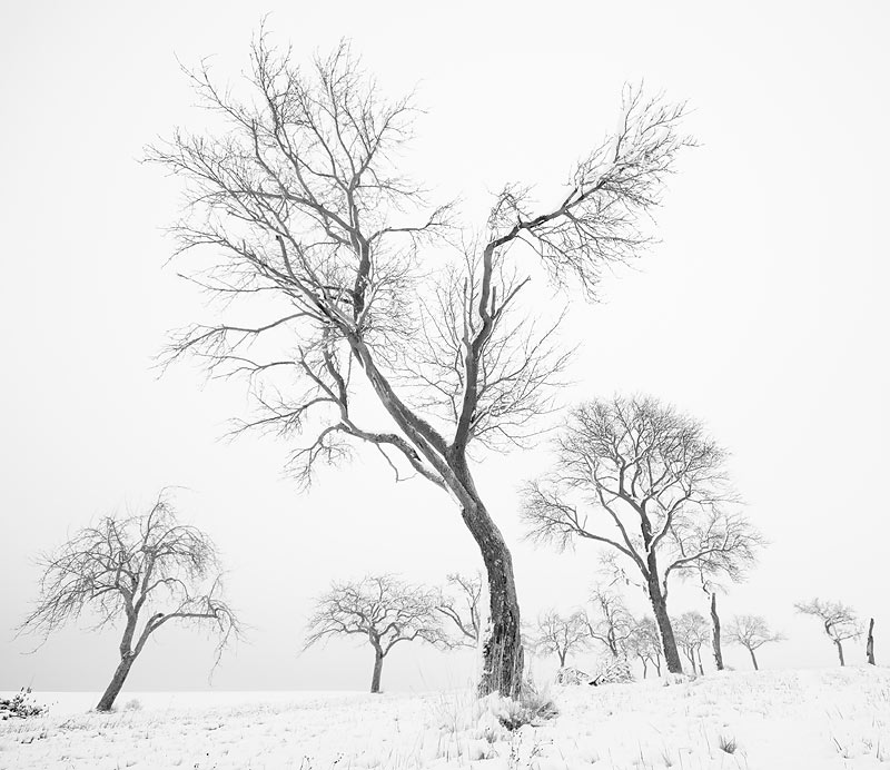 Galeriebild