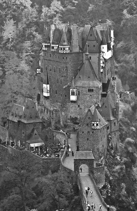 Galeriebild