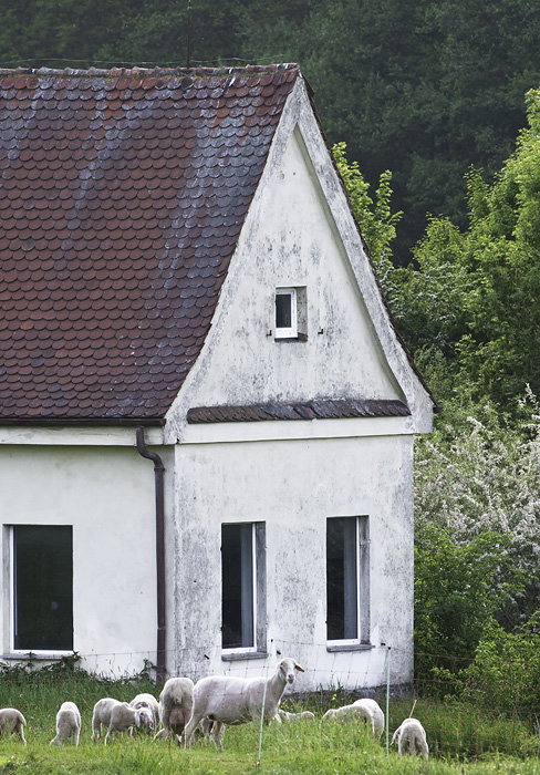 Galeriebild