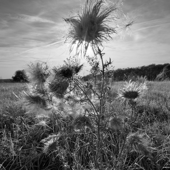 Galeriebild