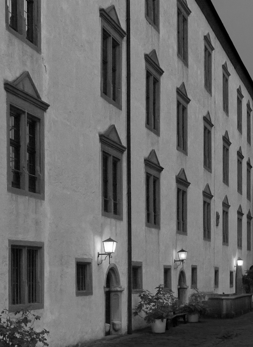 Galeriebild