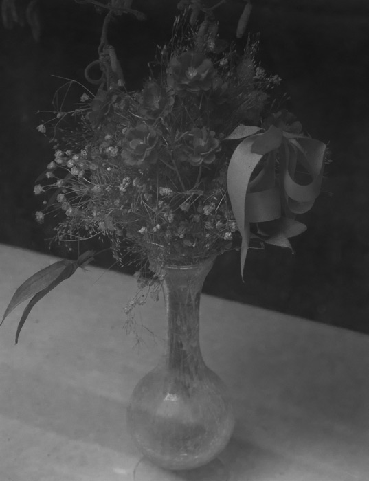 Galeriebild