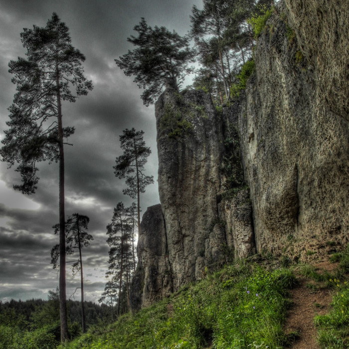 Galeriebild
