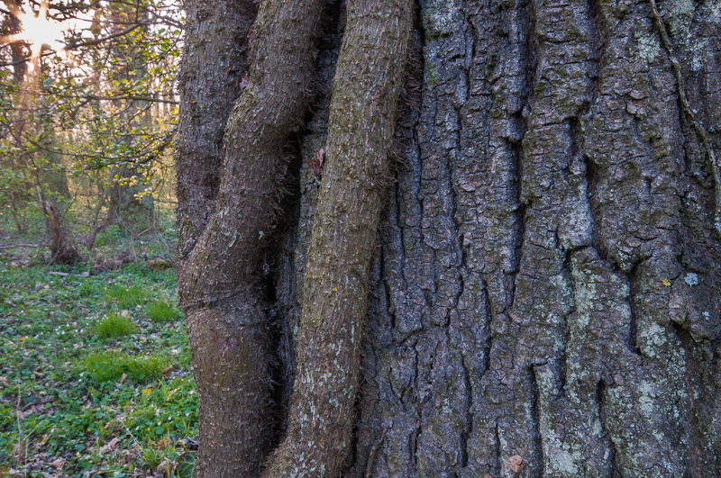 Galeriebild