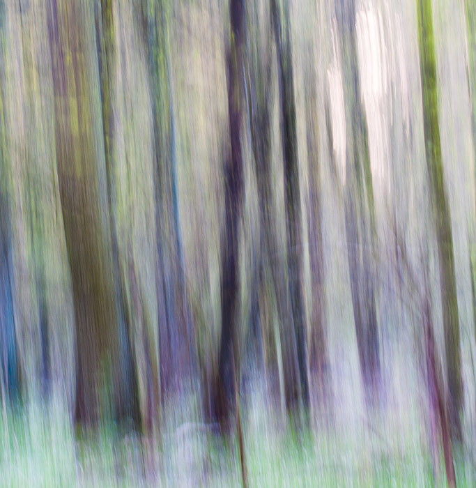 Galeriebild