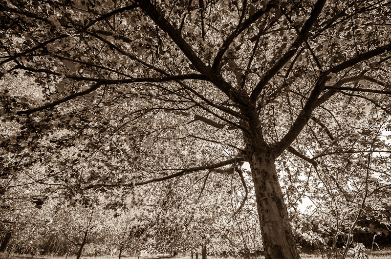 Galeriebild