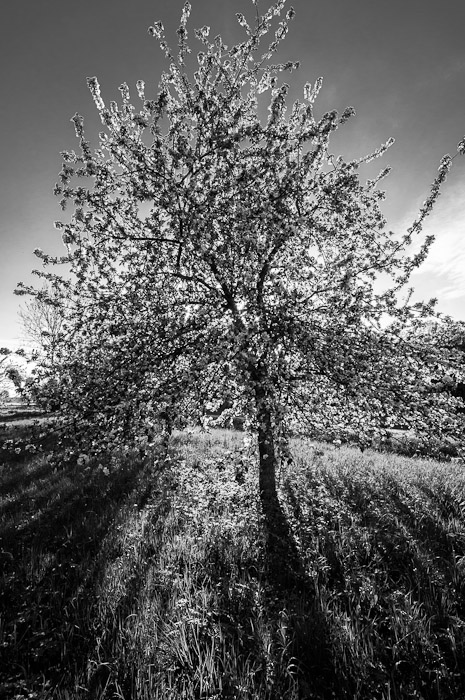 Galeriebild