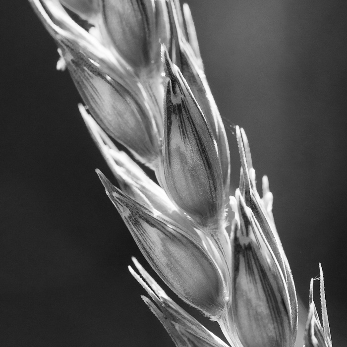 Galeriebild