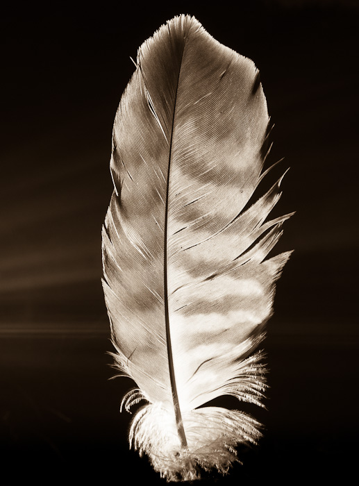 Galeriebild