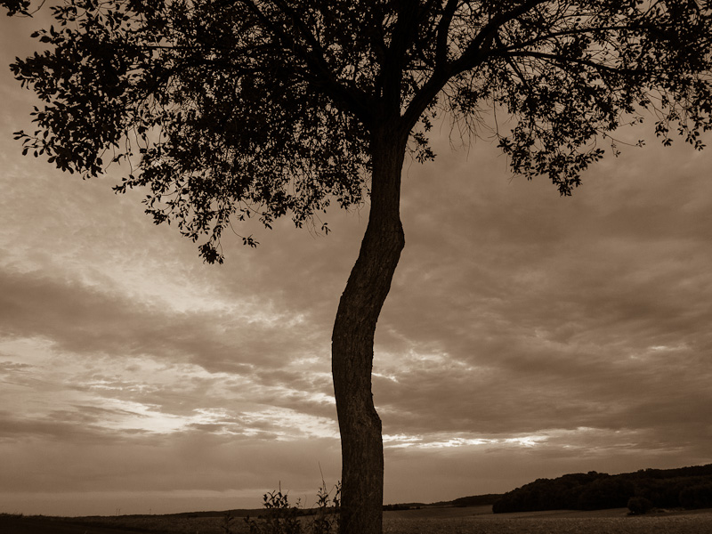 Galeriebild