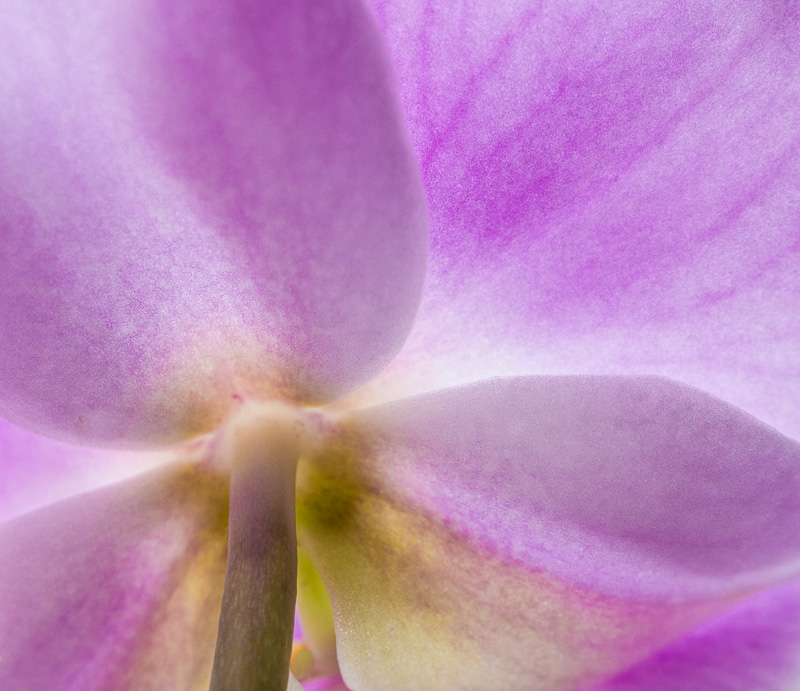 Galeriebild