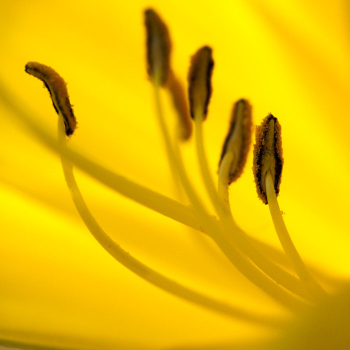 Galeriebild
