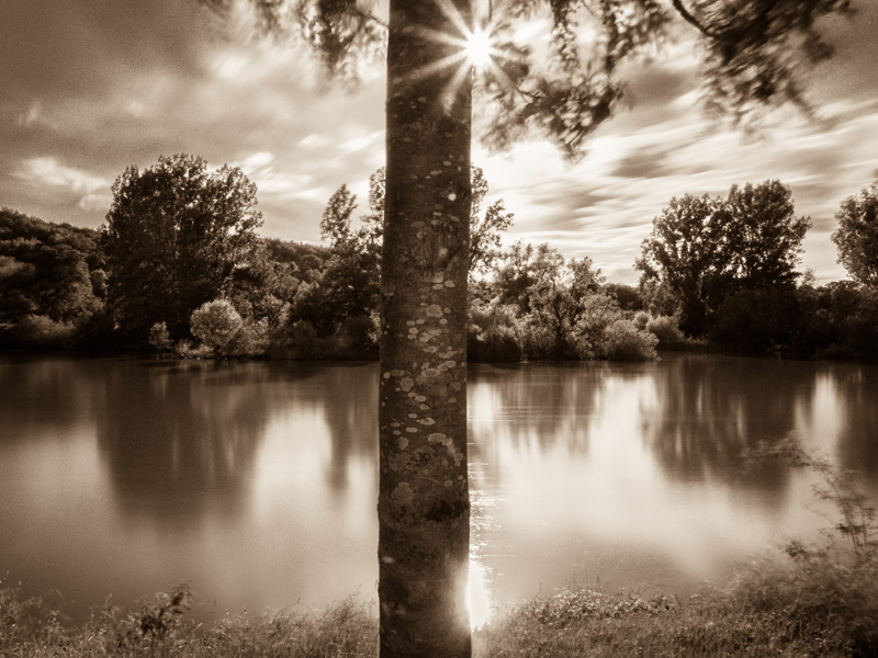 Galeriebild