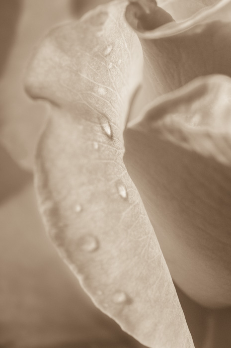 Galeriebild