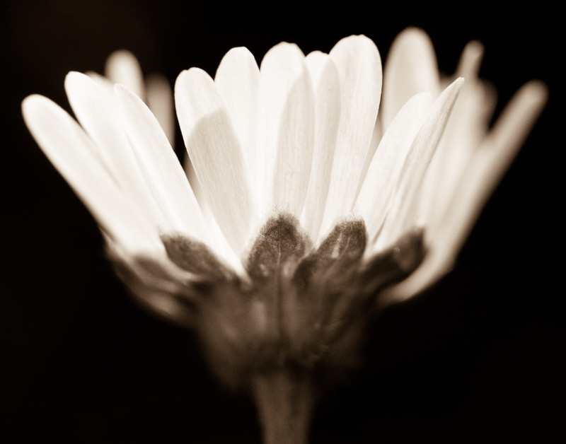Galeriebild