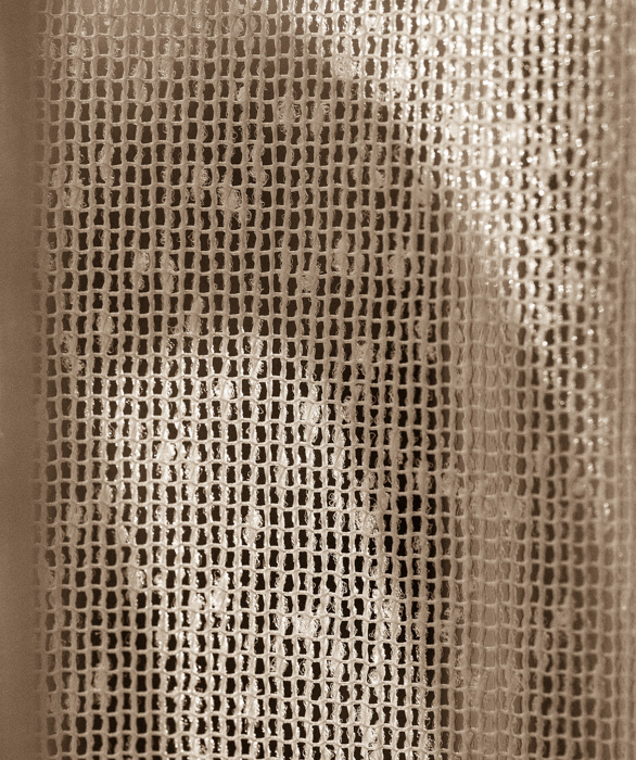 Galeriebild