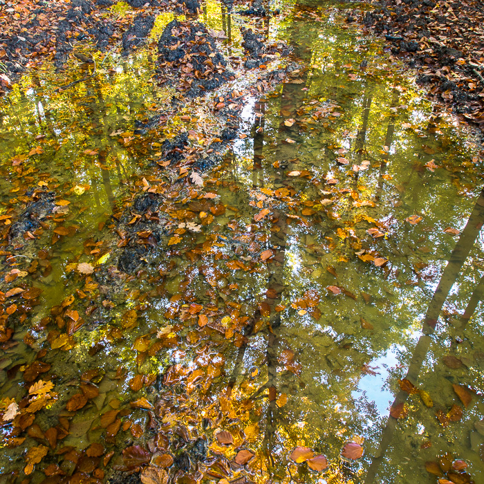 Galeriebild