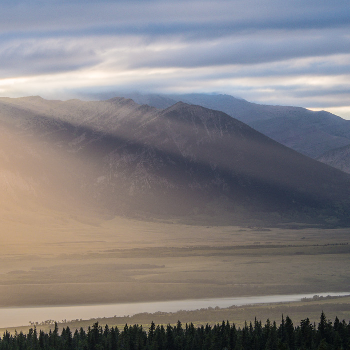 Galeriebild