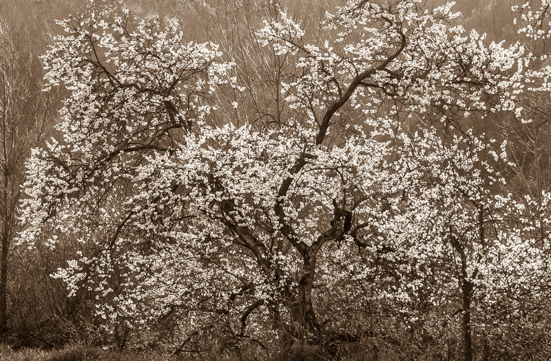 Galeriebild