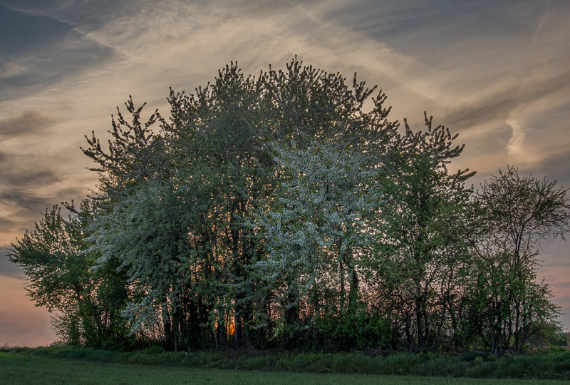 Galeriebild