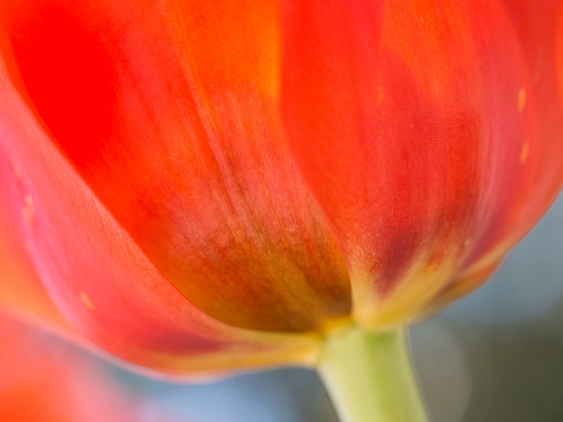Galeriebild