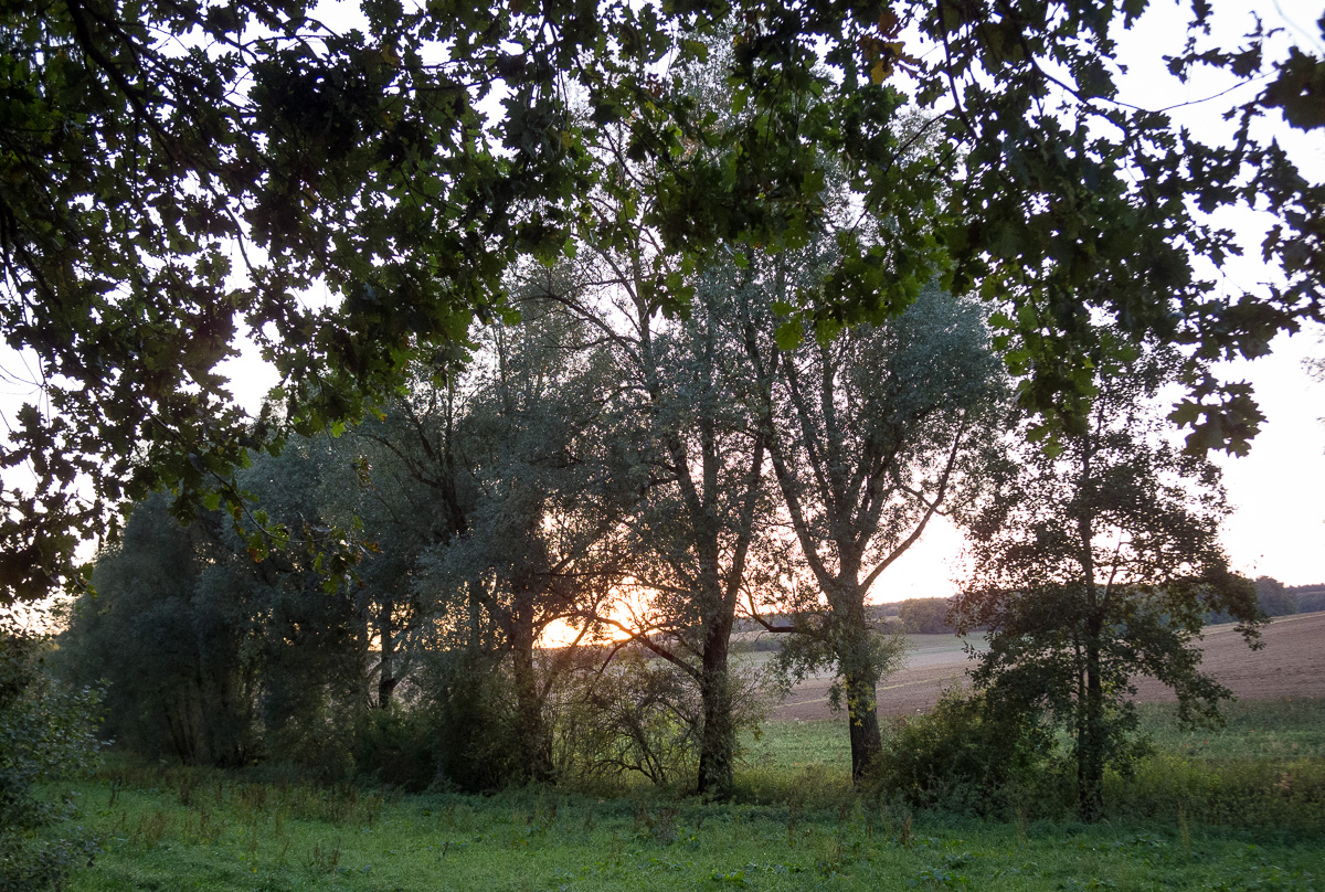Galeriebild